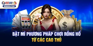 Bật mí phương pháp chơi rồng hổ từ các cao thủ