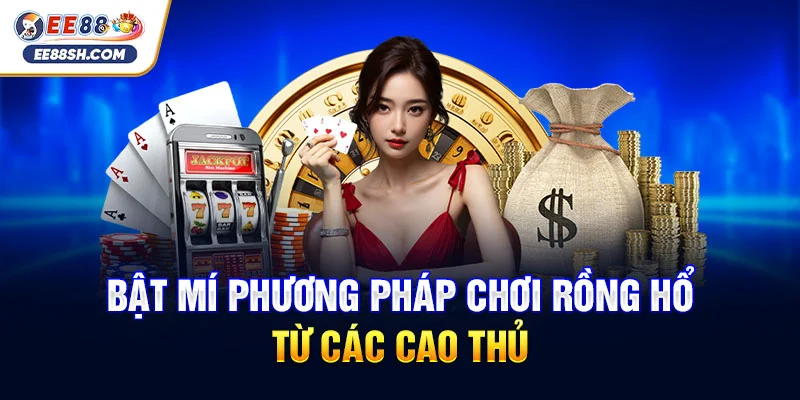 Bật mí phương pháp chơi rồng hổ từ các cao thủ