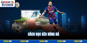 Cách đọc kèo bóng đá