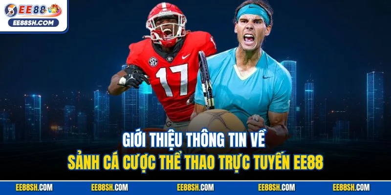 Giới thiệu thông tin về sảnh cá cược thể thao trực tuyến