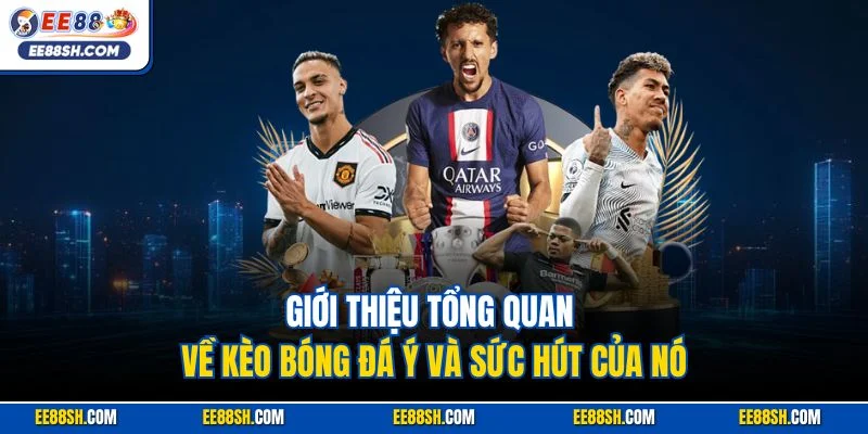 Giới thiệu tổng quan về kèo bóng đá Ý và sức hút của nó