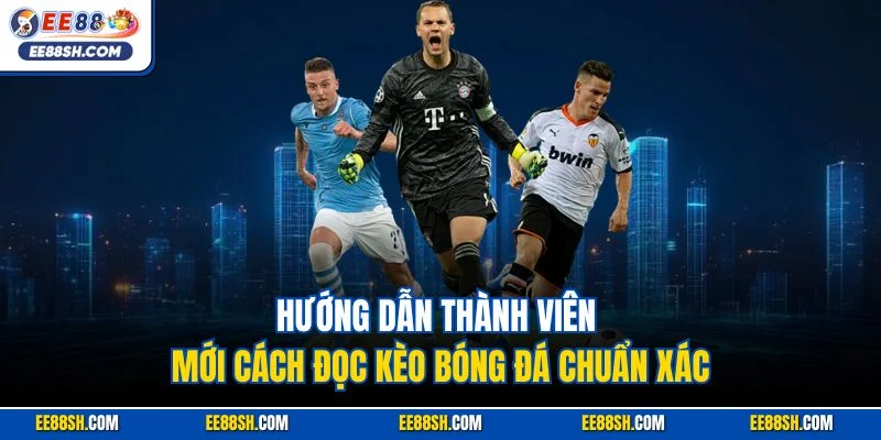 Hướng dẫn thành viên mới cách đọc kèo bóng đá chuẩn xác